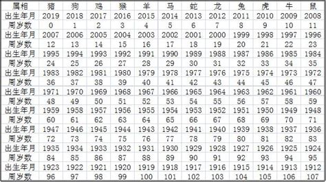 甲辰年生肖|【十二生肖年份】12生肖年齡對照表、今年生肖 